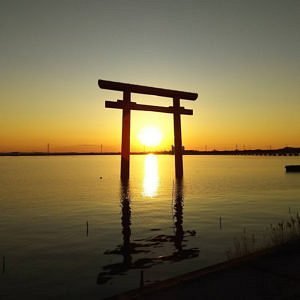 ⛩️ 가시마 신궁 서쪽 첫 번째 도리이(가시마진구 이치노토리이(니시)) 이미지 7